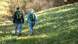 Wanderer bei den Narzissenwiesen, © Eifel Tourismus GmbH, Dominik Ketz