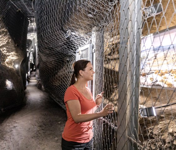 Im Ulmener Maar-Stollen, &copy; Eifel Tourismus GmbH, AR-shapefruit AG