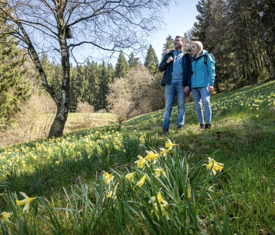Wandelen op de narcissenroute, &copy; St&auml;dteregion Aachen, Dominik Ketz