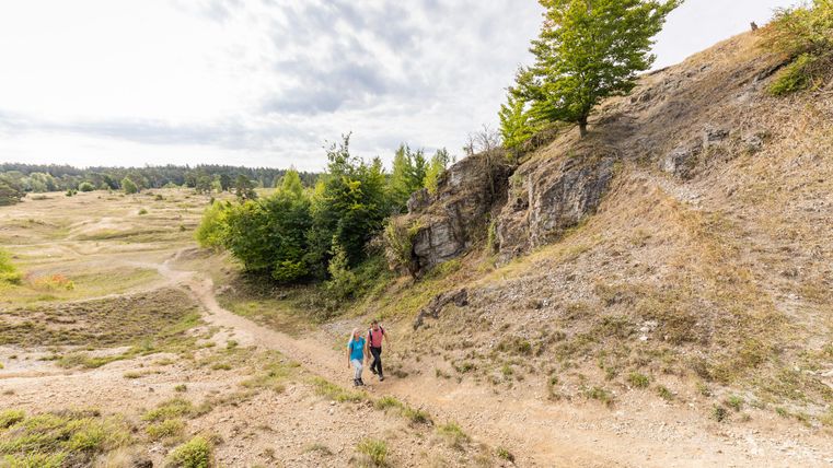 Two hikers are walking along a path in a natural landscape. In the background, trees and gentle hills can be seen.