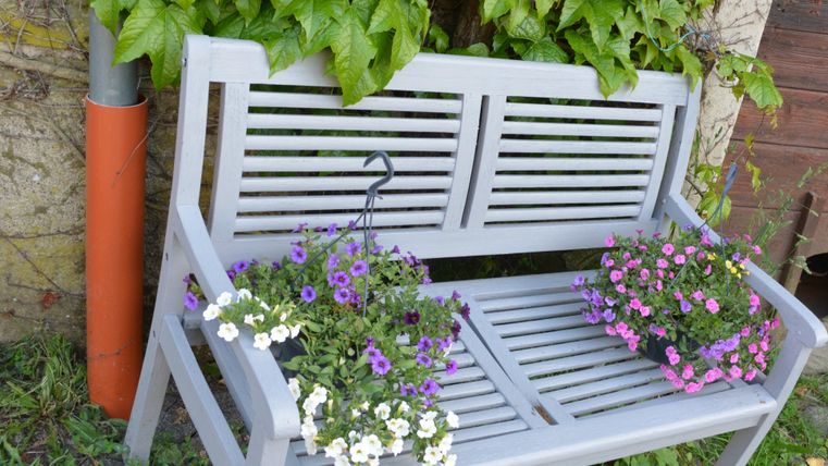 Eine graue Holzbank steht an einer Wand, umgeben von grünen Pflanzen. Auf der Bank befinden sich Blumenkästen mit lila und weißen Blumen.