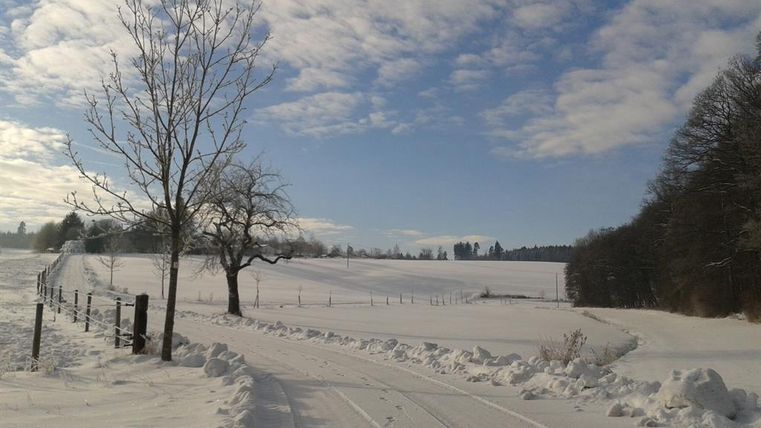 Een besneeuwd landschap met een heldere blauwe lucht. Langs de weg staan een boom en hekken langs de weiland.