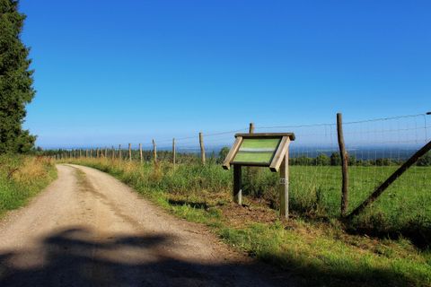 Een mooie veldweg loopt langs een weiland onder een helderblauwe lucht. Rechts staat een informatiebord bij een hek.