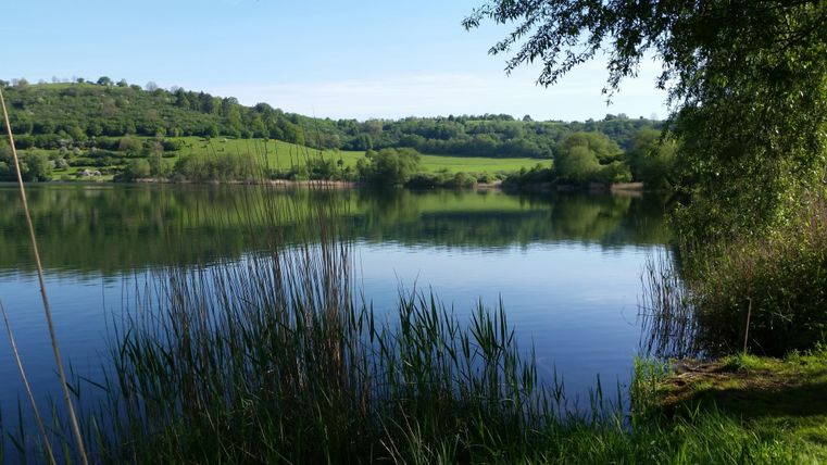 Ein ruhiger See umgeben von grünen Wäldern und anschaulichem Gras. Die Oberfläche des Wassers spiegelt die Landschaft wider.