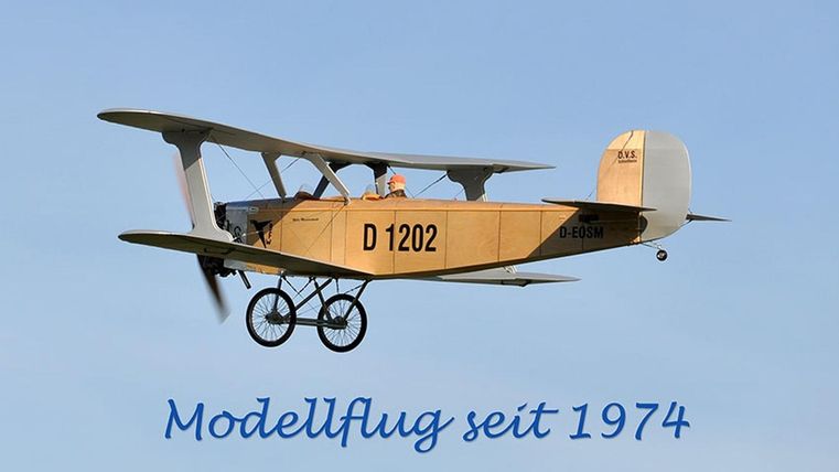 Ein historisches Modellflugzeug schwebt durch den klaren Himmel. Es trägt die Kennung D 1202 und hat eine ansprechende Holzoptik.