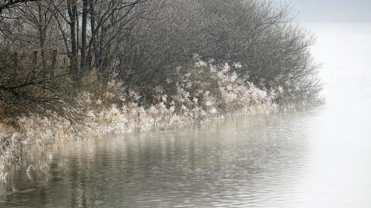 Ein ruhiger Fluss mit nebliger Atmosphäre und schneebedeckten Pflanzen am Ufer. Die Umgebung wirkt friedlich und einsam.