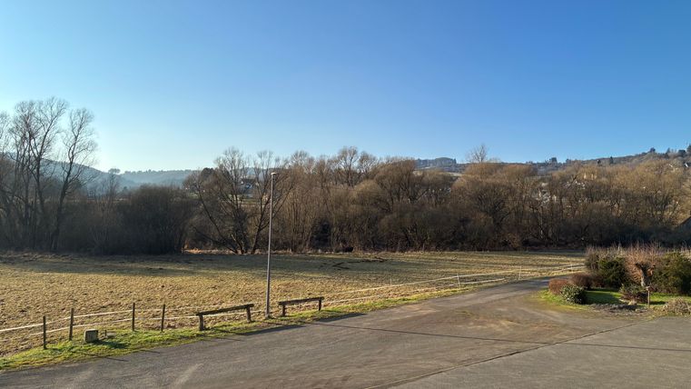 Eine ruhige Landschaft mit einem Schatten von Bäumen und klarem blauen Himmel. Im Vordergrund ist ein befestigter Weg und eine Wiese zu sehen.