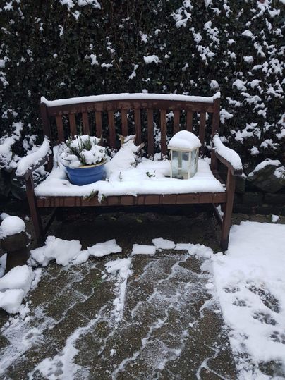 Een houten bank in de sneeuw met een bloempot en een lantaarn. De tuin is bedekt met een witte sneeuwdeken.