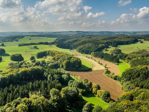 Eine weitläufige Landschaft mit sanften Hügeln, Wäldern und Wiesen. Der Himmel ist blau mit einigen Wolken.