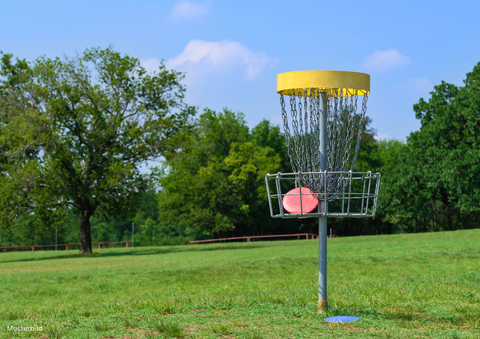 Op een groene weide staat een discgolfmand. Op de achtergrond zijn bomen en een heldere hemel te zien.