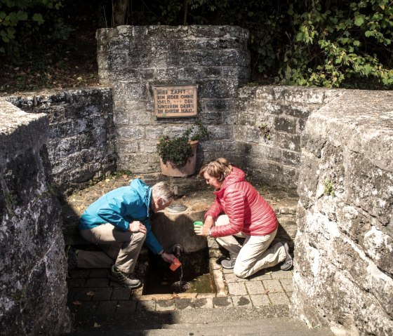 Niederstadtfelder Drees, &copy; Natur- und Geopark Vulkaneifel GmbH
