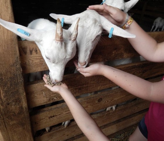 Hautnah erleben, &copy; Andreas Goltz | phormat.de