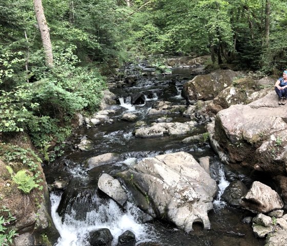 Germanenbr&uuml;cke - Regeneration, &copy; GesundLand Vulkaneifel GmbH