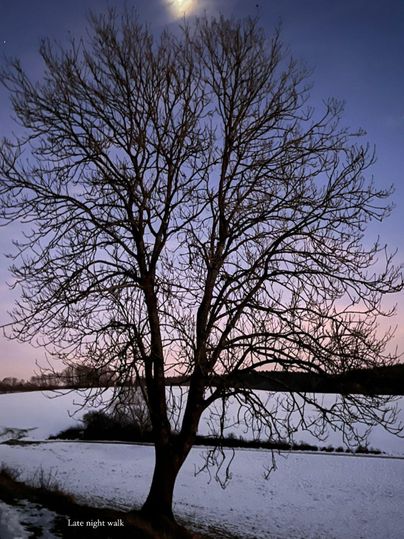 A single tree without leaves stands in a snowy landscape. The moon shines in the sky during sunset.