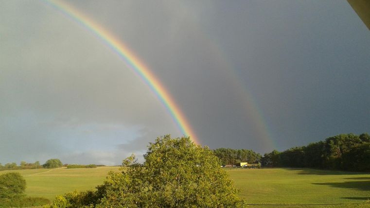 Ein Regenbogen spannt sich über eine grüne Wiese unter einem bewölkten Himmel. Im Hintergrund sind Bäume und einige Gebäude sichtbar.