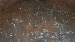 Blubbernde Victoriaquelle, © Tourist Information Wittlich Stadt & Land