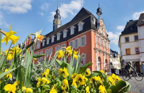 Ein malerisches Rathaus mit einer roten Fassade und Türmchen. Im Vordergrund blühen gelbe Blumen unter einem blauen Himmel.