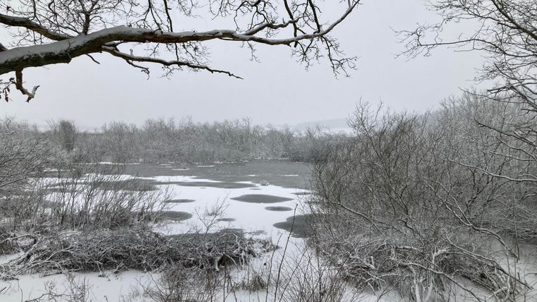Eine verschneite Landschaft mit einem ruhigen Gewässer im Vordergrund. Die Bäume sind winterlich kahl und von Schnee bedeckt.