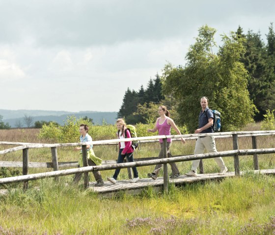 Hautes Fagnes pr&egrave;s de Botrange, &copy; vennbahn.eu
