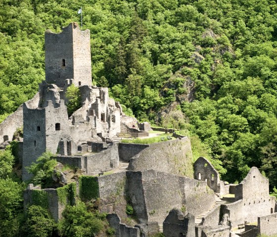 Wandelroute Manderscheider Burgenstieg: Kasteel Niederburg, © Rheinland-Pfalz Tourismus GmbH - D. Ketz