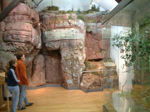 Eine natürliche Landschaft mit bunten Felsen und Pflanzen. Im Vordergrund stehen zwei Personen, die die Umgebung betrachten.