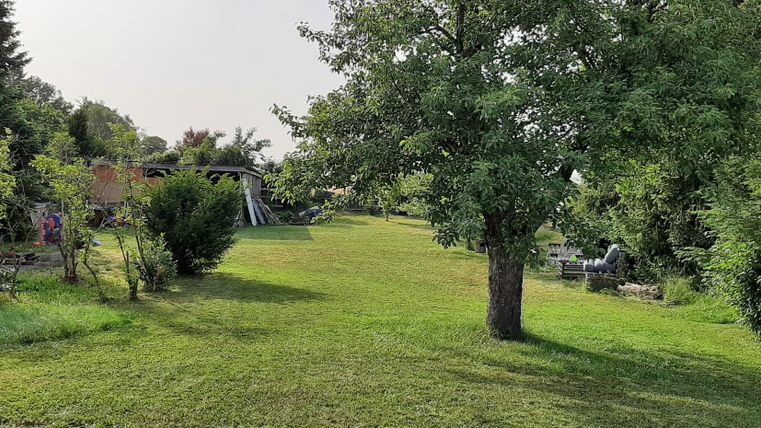 Ein großer Garten mit einem grünen Rasen und verschiedenen Bäumen. Im Hintergrund sind Sitzgelegenheiten und Sträucher zu sehen.