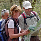 A group of hikers is looking at a map in the forest. They seem to be orienting themselves about the path.