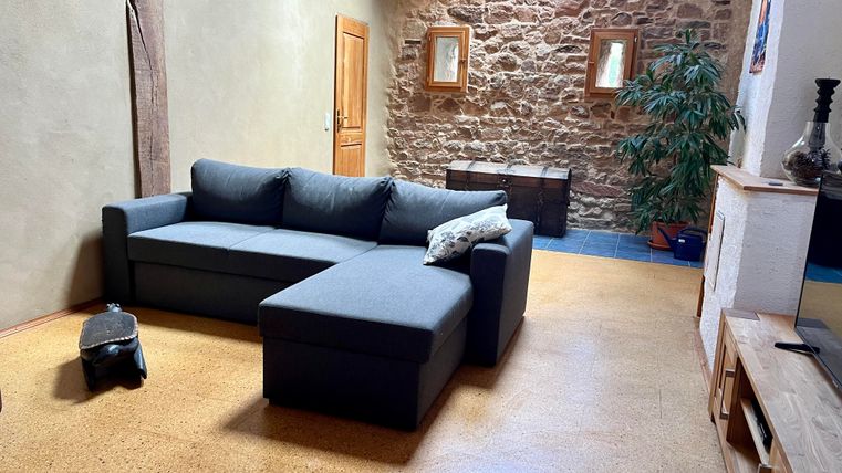 Ein modernes Wohnzimmer mit einem grauen Sofa und einem stilvollen Kaffeetisch. An einer Wand befindet sich eine große Pflanze und es gibt große Fenster, die Tageslicht hereinlassen.