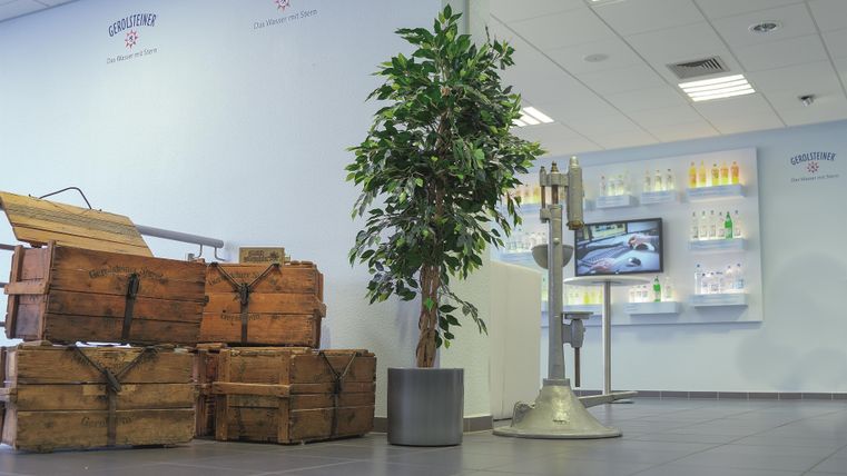 Gerolsteiner Visitor Center with wooden crates, plants, and beverage bottles on the wall. A screen displays a video.