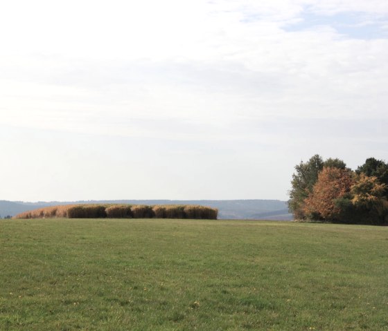 Uitzicht op het landschap, © Eifel Tourismus GmbH