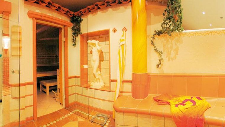 Ein gemütlicher Wellnessbereich mit Sauna und Dampfbad. Die Wände sind in warmen Farben gehalten und mit Pflanzen dekoriert.