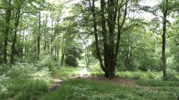 Moore-Pfad Schneifel, © Tourist-Information Prümer Land