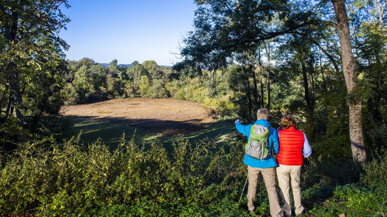 Zwei Personen stehen am Waldrand und betrachten eine weitläufige Wiese. Die Umgebung ist grün und sonnig, mit vielen Bäumen im Hintergrund.