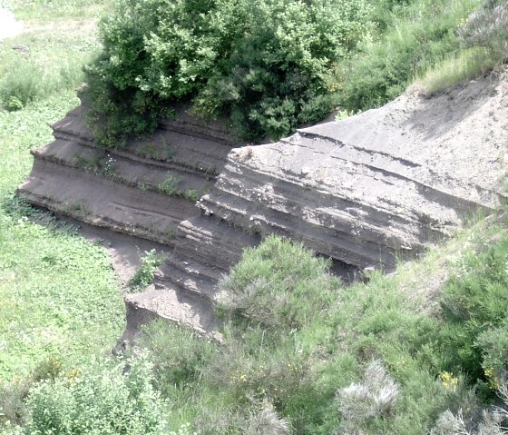Geoaufschluss, &copy; GesundLand Vulkaneifel GmbH