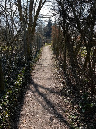 A narrow path, surrounded by trees and bushes. The ground is made of earth and shadows can be seen on the path.