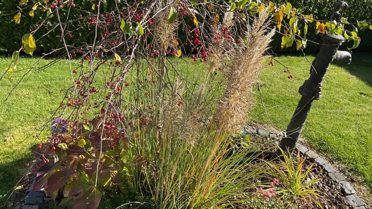 A beautiful garden with colorful plants and grasses. In the foreground is a decorative element that complements the garden scene.