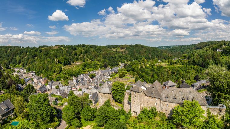 Eine malerische Landschaft mit einer historischen Burg und grünen Wäldern. Der Himmel ist klar mit weißen Wolken.