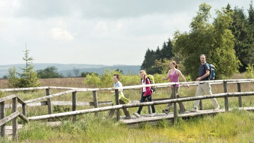 Hoge Venen bij Botrange, © vennbahn.eu