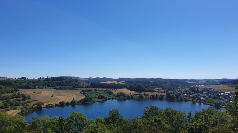 Ein schöner Blick auf einen See, umgeben von grünen Bäumen und Wiesen. Der Himmel ist klar und blau.
