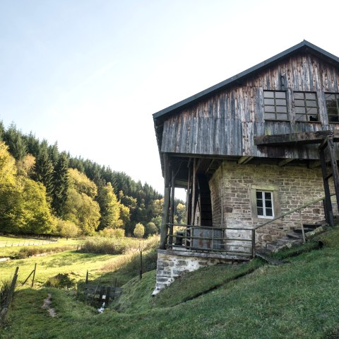 Sentier de Hinterbüsch : Moulin de coupe près de Meisburg, © Eifel Tourismus GmbH/D.Ketz