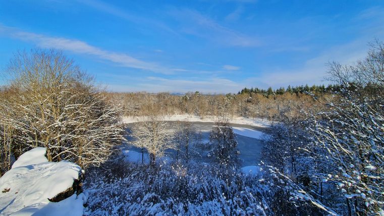 Eine winterliche Landschaft mit schneebedeckten Bäumen und einem klaren blauen Himmel. Im Hintergrund ist ein gefrorener See zu sehen.