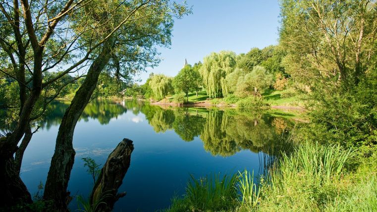 Ein ruhiger See mit klarem Wasser und grünem Ufer. Umgeben von Bäumen und üppiger Vegetation unter einem blauen Himmel.