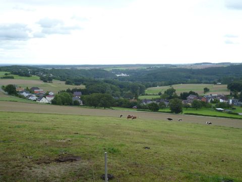 Eine weite Landschaft mit sanften Hügeln und Wiesen. Im Hintergrund sind kleine Dörfer und ein bewölkter Himmel zu sehen.