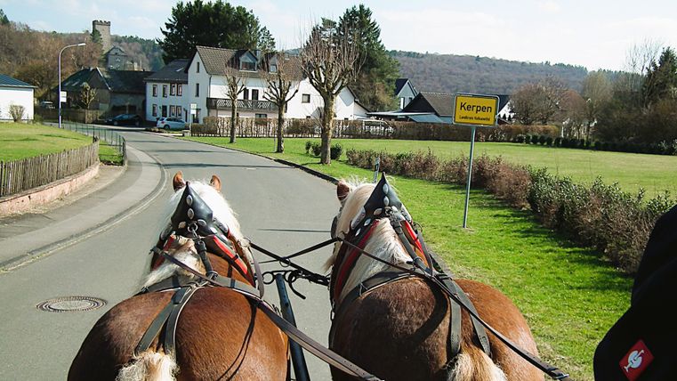 Twee bruine paarden trekken een wagen over een landelijke weg in Kerpen, terwijl op de achtergrond huizen en heuvels te zien zijn.