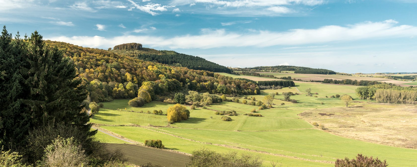 Dreiser Weiher op de Vulkangipfel-Pfad wandelroute, © Eifel Tourismus GmbH - D. Ketz