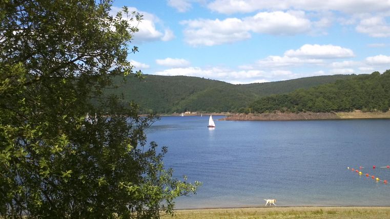 Ein ruhiger See umgeben von Hügeln und Bäumen. Ein Segelboot fährt auf dem Wasser unter einem klaren Himmel.