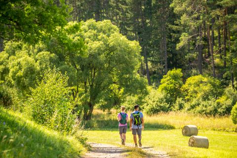 Zwei Personen wandern auf einem schmalen Weg durch eine grüne Landschaft. Umgeben von Bäumen und der Natur genießen sie einen sonnigen Tag.