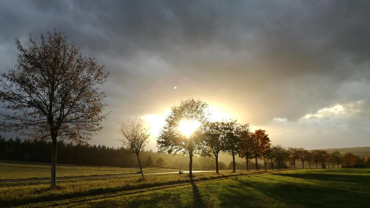 Een zonnige open plek met bomen die tegen een bewolkte lucht oplichten. De zonnestralen doorbreken de wolken en creëren een sfeervolle atmosfeer.
