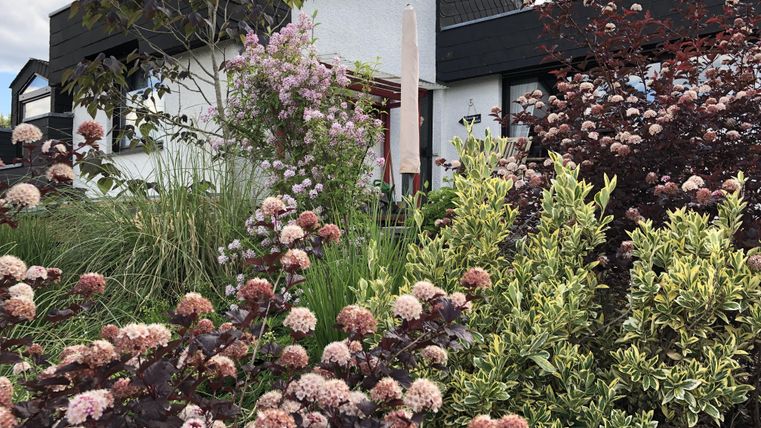 Een mooie tuin met kleurrijke bloemen en struiken. Op de achtergrond is een modern huis te zien.
