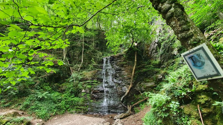 Ein kleiner Wasserfall fließt durch eine grüne, bewaldete Landschaft. Umgeben von dichtem Laub und Felsen schafft die Szene eine ruhige und natürliche Atmosphäre.